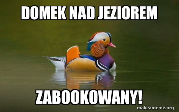 Fashionable Advice Mallard meme