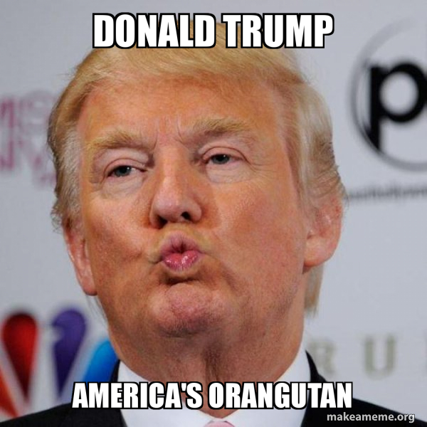 Donald Trump America's Orangutan - Donald Trump Kissing Meme Generator