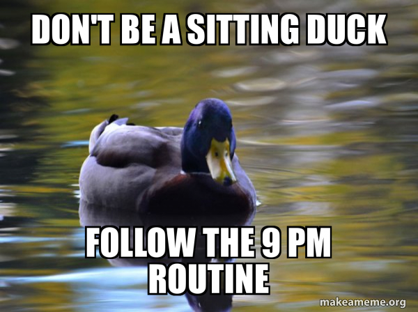 Zen Advice Mallard meme