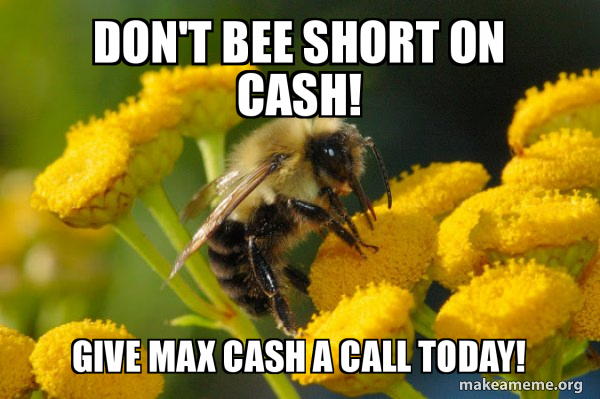 Good Guy Bee meme