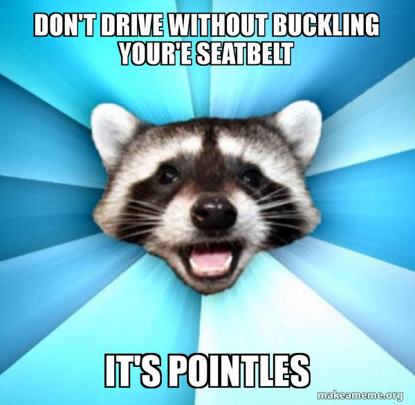 Lame Pun Coon meme