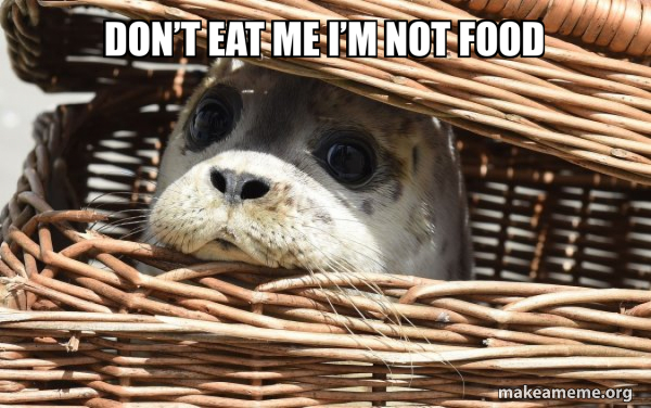 Don’t eat me I’m not food - Impending Doom Seal Meme Generator