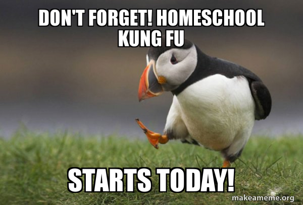 Unpopular Opinion Puffin meme