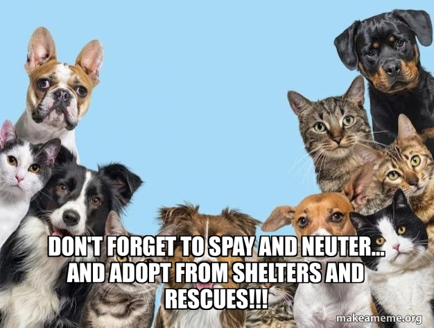 Don't forget to spay and neuter... and adopt from shelters and rescues ...