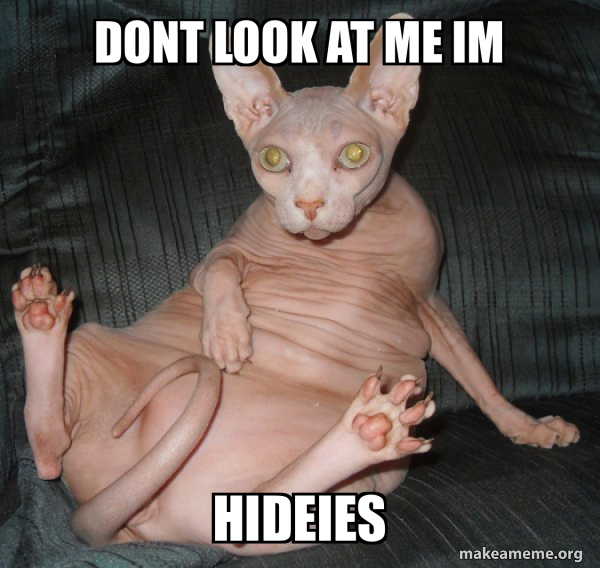 Hairless Cat meme