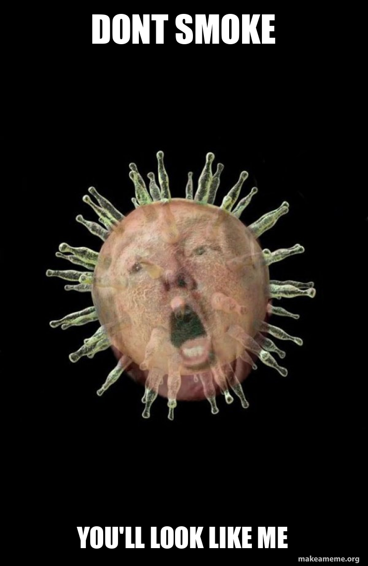 Trumpvirus TrumpPandemic meme