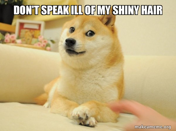 Don T Speak Ill Of My Shiny Hair Doge Make A Meme