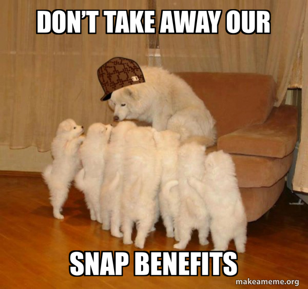 Scumbag Storytelling Dog meme