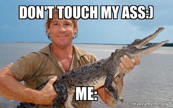 Don't touch my ass:) Me: - Steve irwin Meme Generator