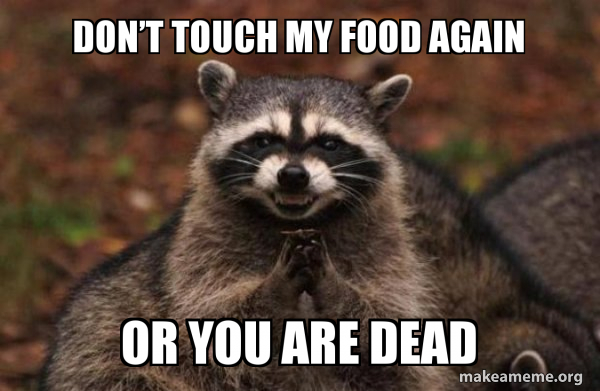 Donâ€™t touch my food again or you are dead - Evil Plotting Raccoon ...