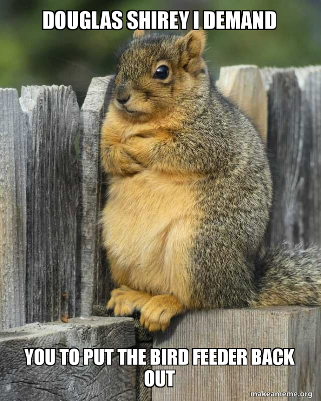 Douglas Shirey I Demand You To Put The Bird Feeder Back Out Make