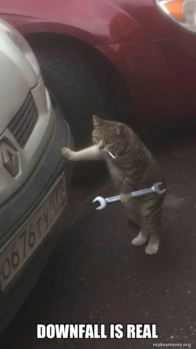 DOWNFALL IS REAL - Mechanic Cat Meme Generator
