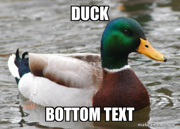 Actual Advice Mallard meme