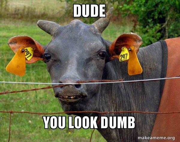 Dumb Cows