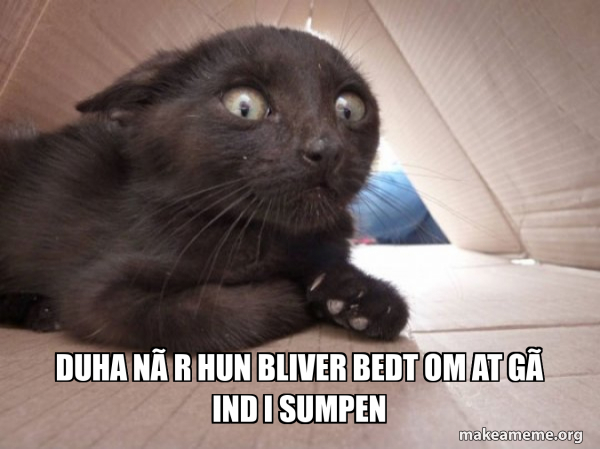 Meme Hun Duha når hun bliver bedt om at gå ind i sumpen - Schitzo Cat Meme Generator
