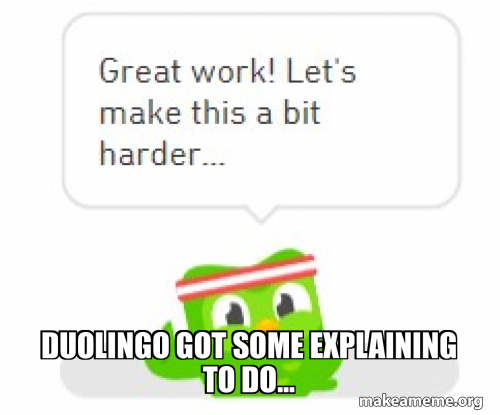 duolingo got some explaining to do... Meme Generator