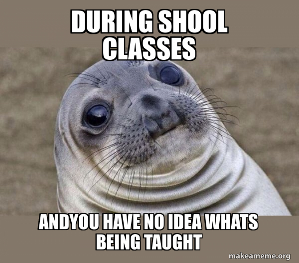 Squeamish Seal meme