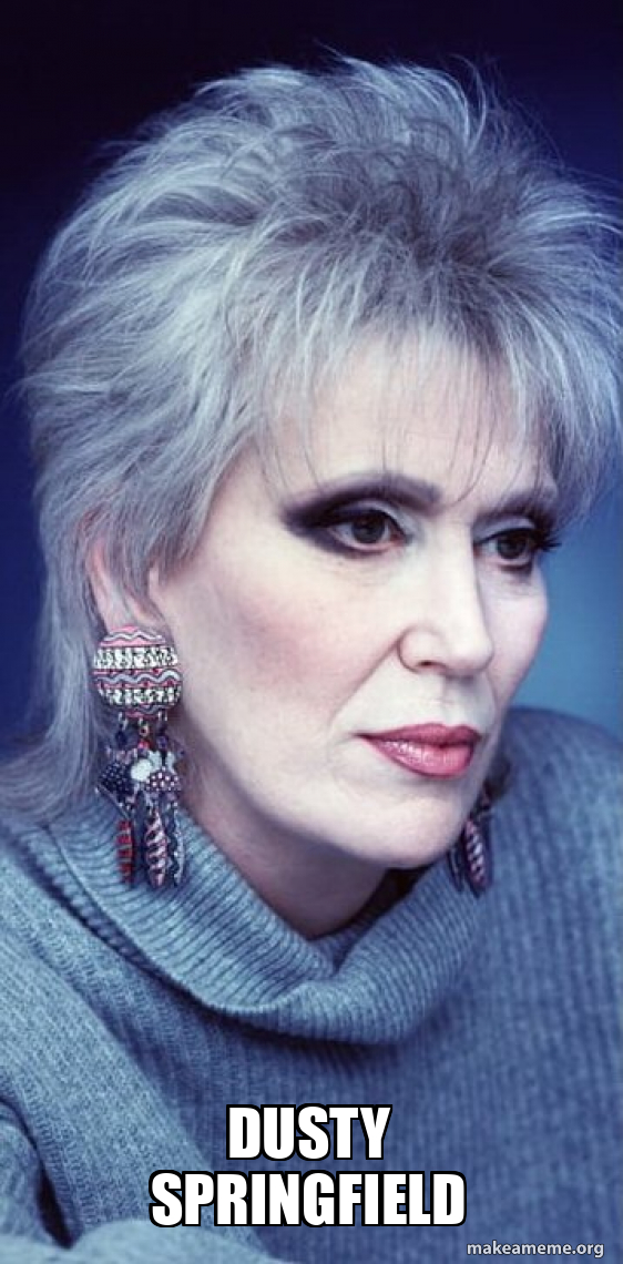 DUSTY SPRINGFIELD Meme Generator