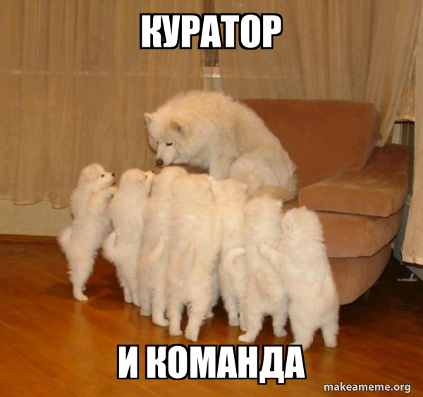 Storytelling Dog meme