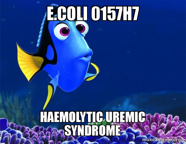 e.coli 0157H7 Haemolytic uremic syndrome - Dory from Nemo (5 second ...