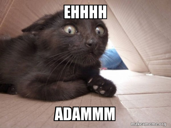 Schitzo Cat meme