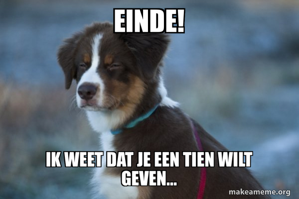 Unsure Dog meme