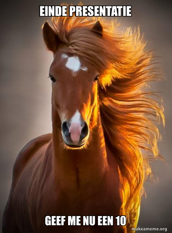 Ridiculously photogenic horse meme