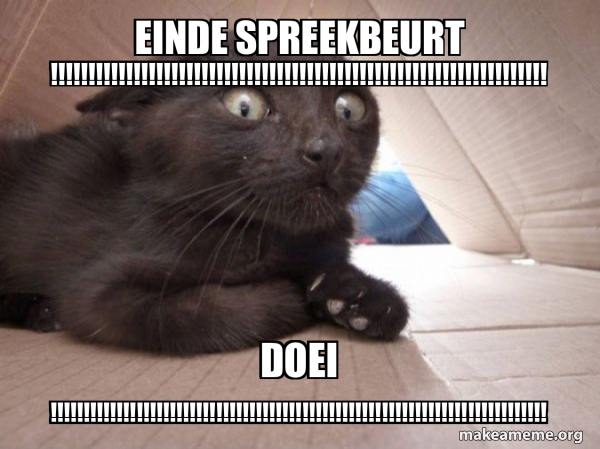 Schitzo Cat meme