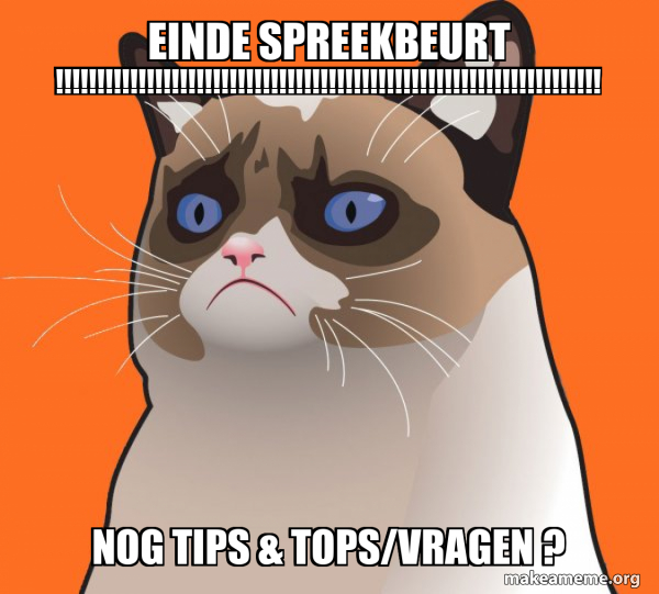 Cartoon Grumpy Cat meme