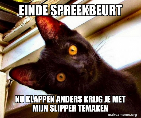 Overly Attached Cat meme