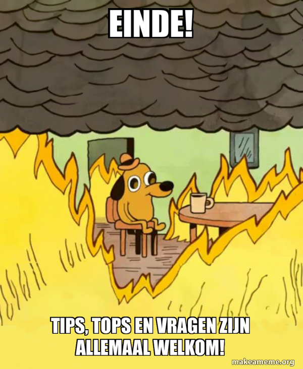 Einde! Tips, tops en vragen zijn allemaal welkom! - This Is Fine Meme ...