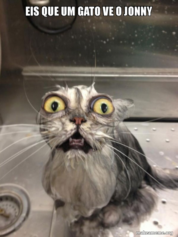 Cat bath meme