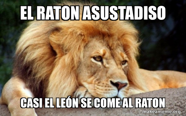 El raton asustadiso casi el leÃ³n se come al raton - Confession Lion ...
