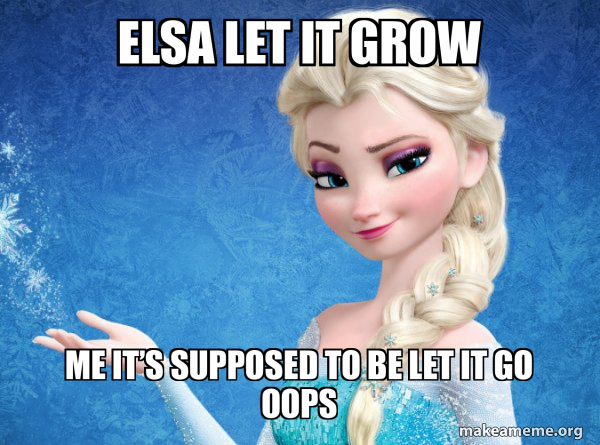 Elsa from Frozen meme