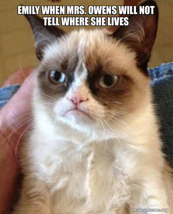 Emily when Mrs. Owens will not tell where she lives - Grumpy Cat Meme ...