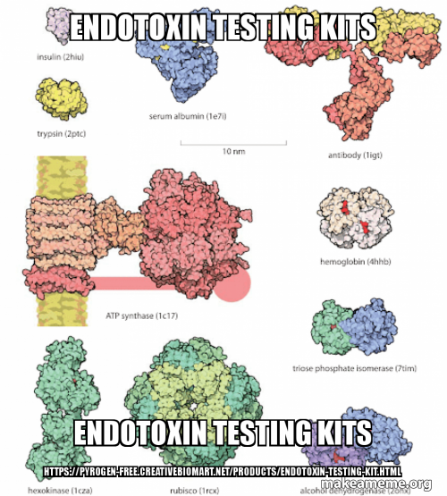Endotoxin Testing Kits Endotoxin Testing Kits https//pyrogenfree