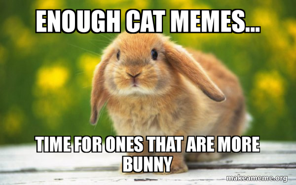 Regretful Rabbit meme