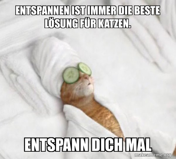 Pampered Cat Meme meme