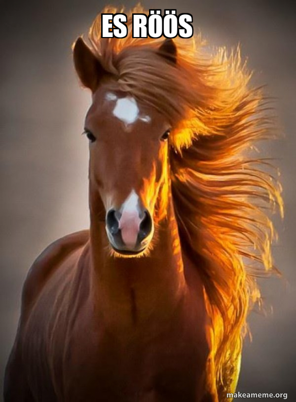 Ridiculously photogenic horse meme