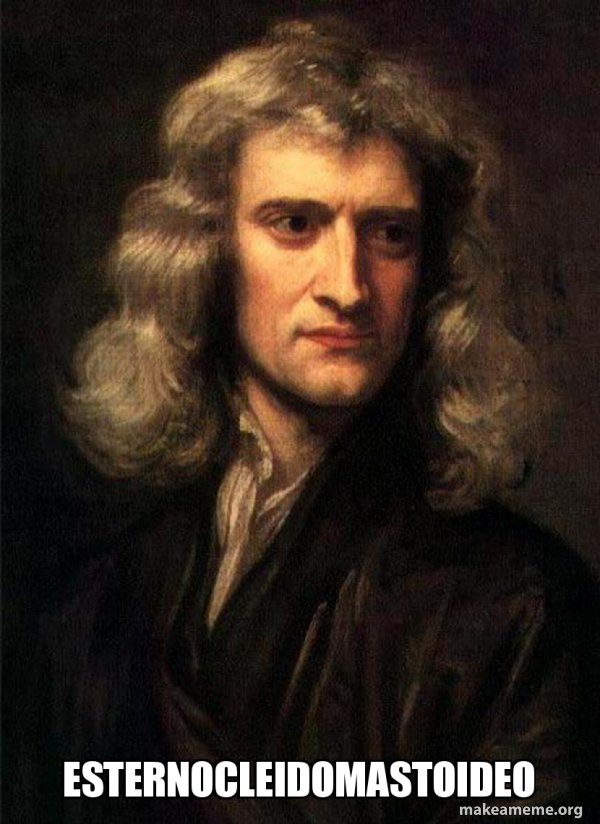 Sir Isaac Newton meme