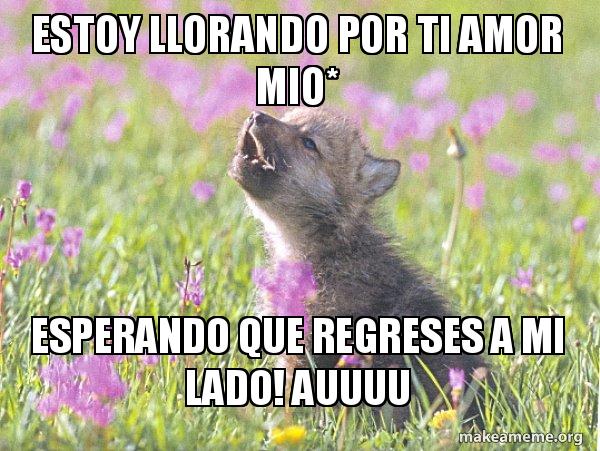 Memes Amor Mio