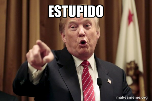 estupido-d877c7ffee.jpg