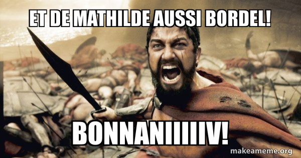 Meme About Mathilde Et de Mathilde aussi bordel! Bonnaniiiiiv! - The 300 Meme Generator