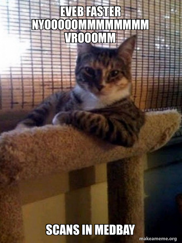 The Most Interesting Cat in the World meme