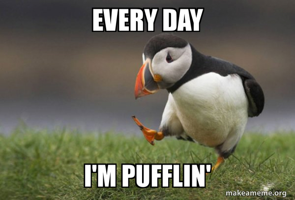 Unpopular Opinion Puffin meme