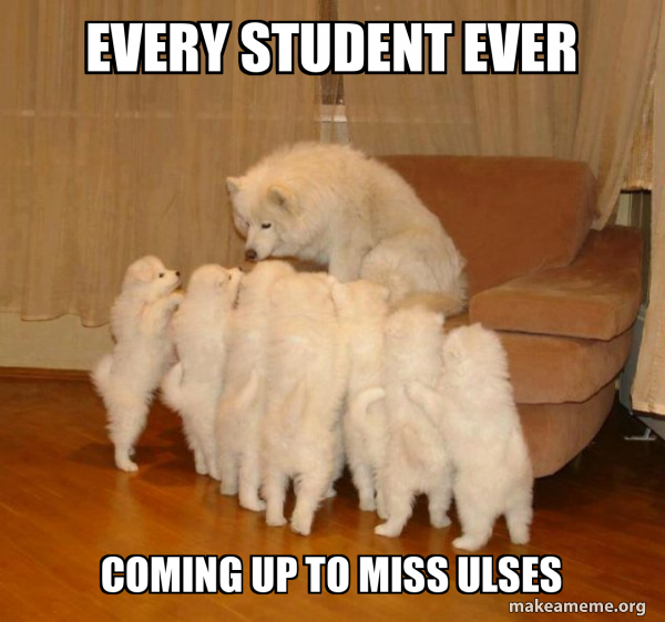 Storytelling Dog meme