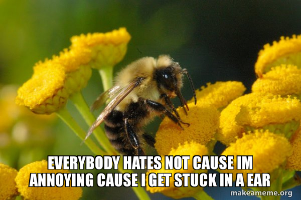 Good Guy Bee meme