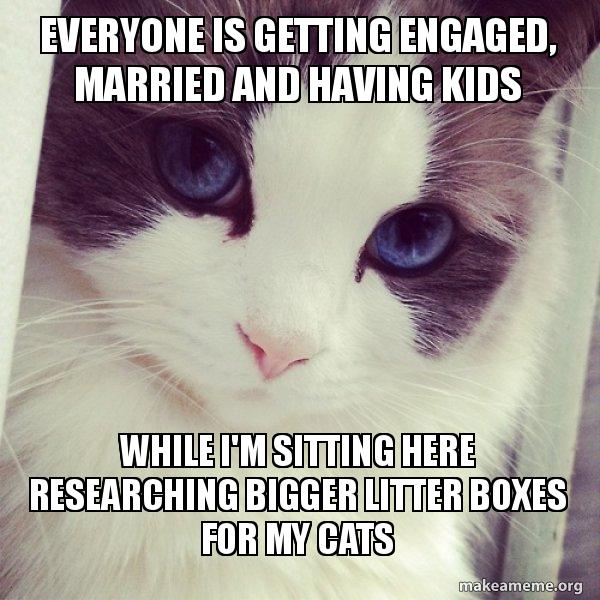 Everyone is getting engaged, married and having kids While I