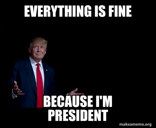 Trump Everything is FIne meme