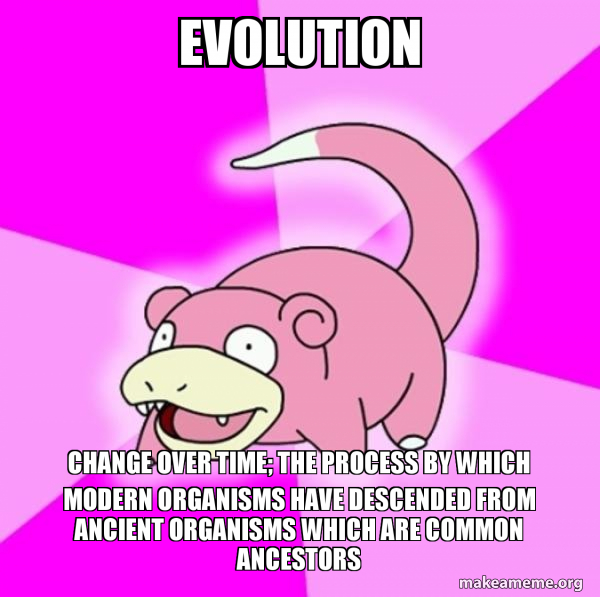 Slowpoke the Pokemon meme